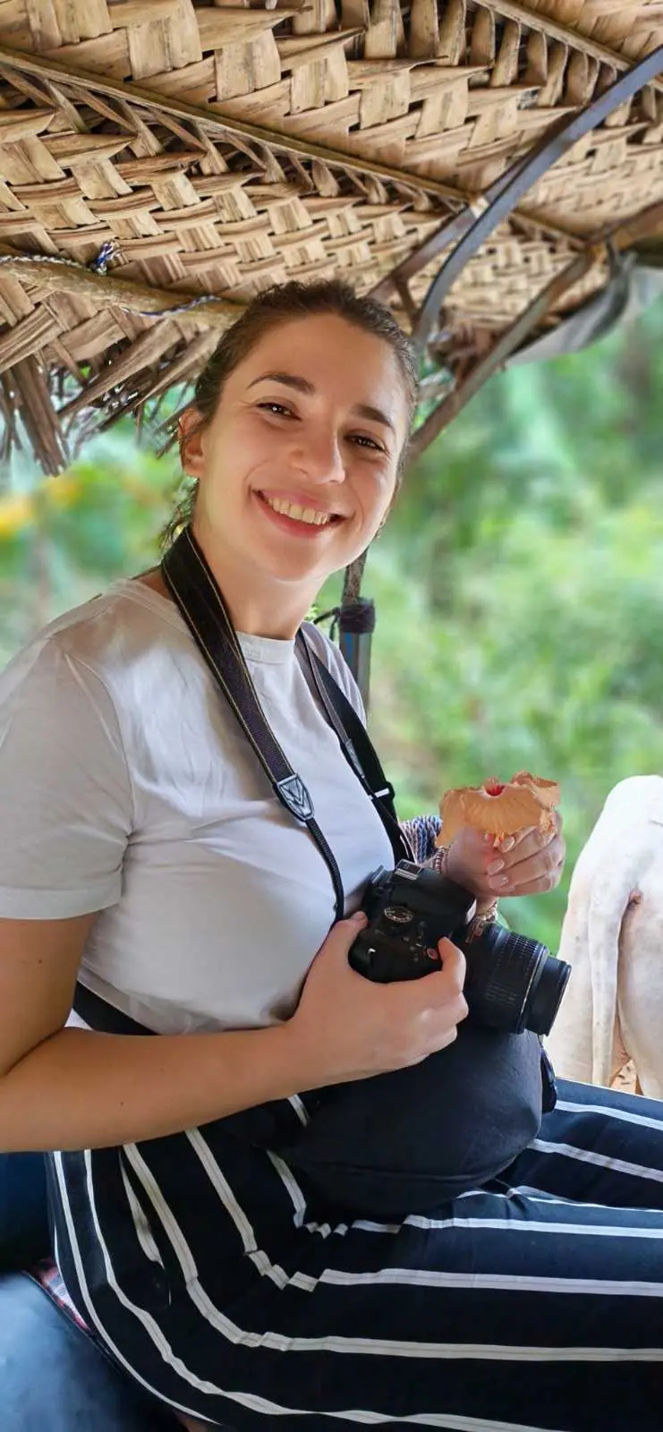 Wildlife Adventure
